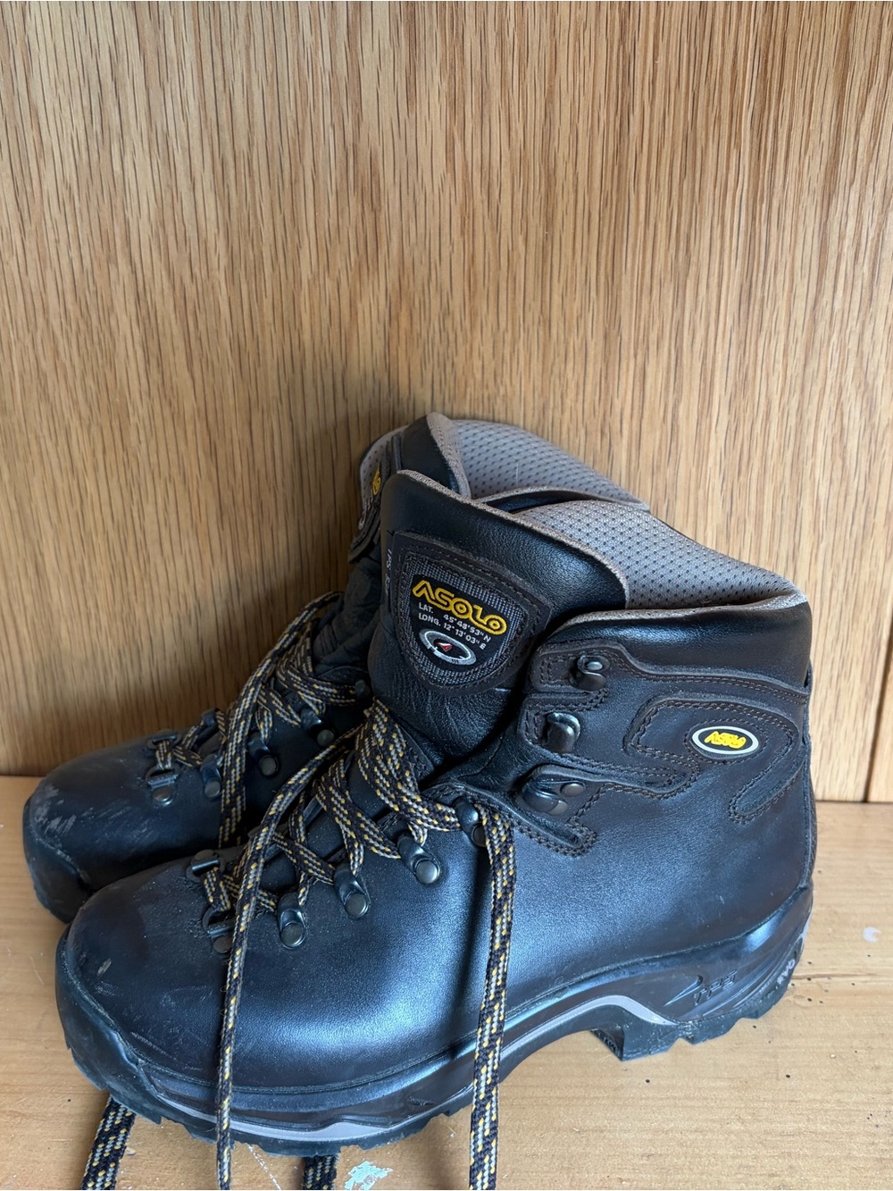 Asolo TPW 520 Backpacking Boot